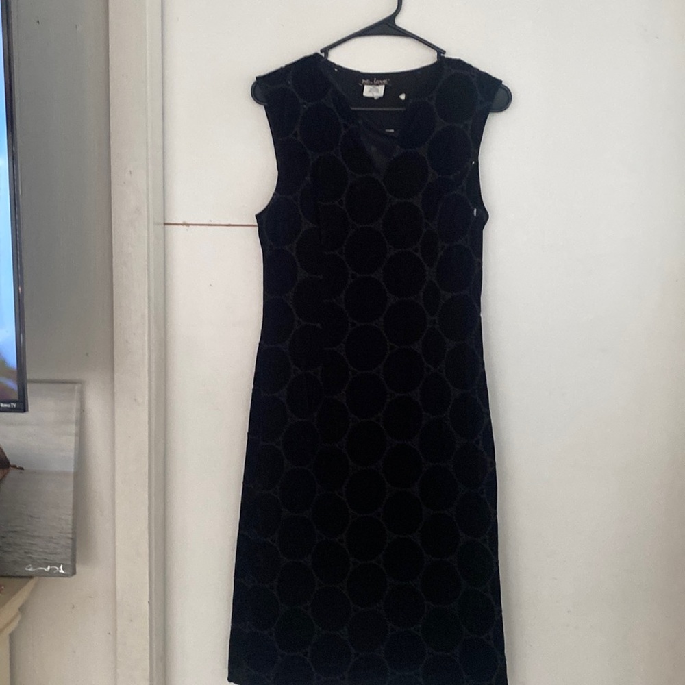 Danielle Dayan sleevless, v beck velour dress.